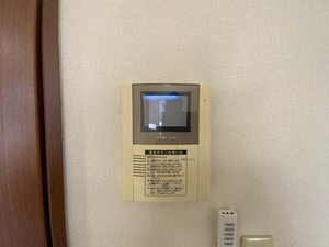 ＣＨＥＳＴＮＵＴ　ＨＩＬＬ 0101号-6