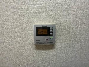 ＣＨＥＳＴＮＵＴ　ＨＩＬＬ 0101号-9