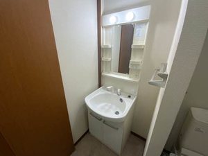 ＣＨＥＳＴＮＵＴ　ＨＩＬＬ 0101号-11