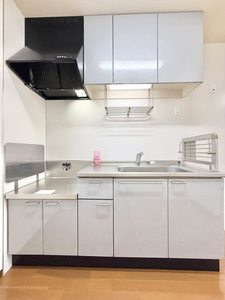 クリサ・ノーヴァ C101号-4