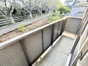 クリサ・ノーヴァ C101号-10