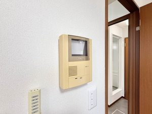 クリサ・ノーヴァ C101号-11