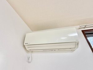 クリサ・ノーヴァ C101号-12