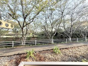 クリサ・ノーヴァ C101号-13