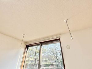 クリサ・ノーヴァ C101号-15