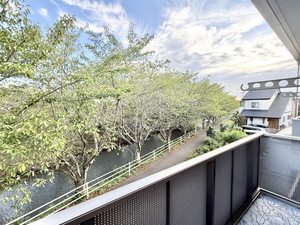 クリサ・ノーヴァ C201号-13