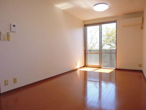 クリサ・ノーヴァ C202号-2