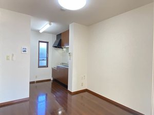 マインコートＣ 0102号-2