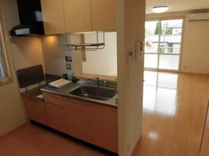 ディアス杉山Ｃ 0103号-5