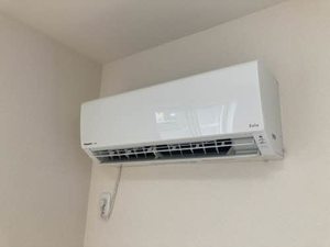 ベリーＴ B101号-12