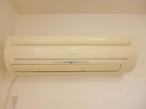 ベリーT B201号-12