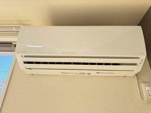 フィニックスＢ 0107号-12