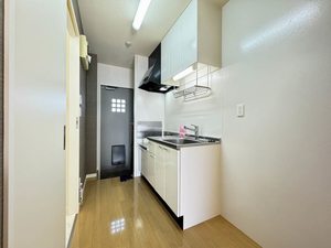 フィニックスＢ 0107号-14