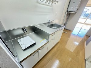 フィニックスB 0201号-4