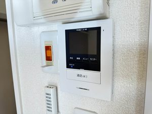 フィニックスB 0201号-11