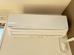 フィニックスB 0201号-12