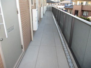 フィニックスＢ 0202号-15