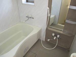 フィニックスB 0206号-7