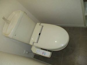 フィニックスB 0206号-8