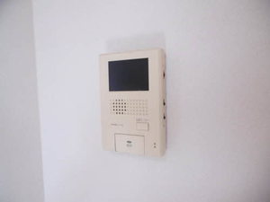 カモミール B101号-14