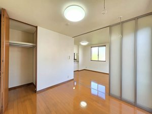 カモミール B102号-3