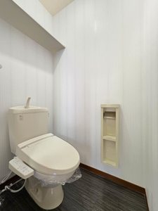 カモミール B102号-7