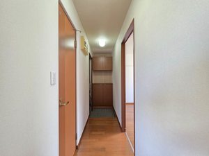 カモミール B102号-8