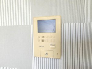 カモミール B102号-11