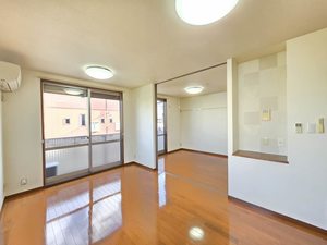 カモミール B102号-12