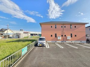 カモミール B102号-13