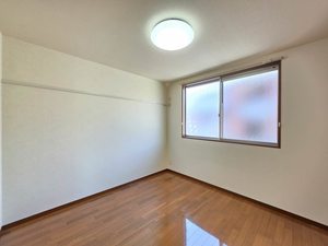 カモミール B102号-14