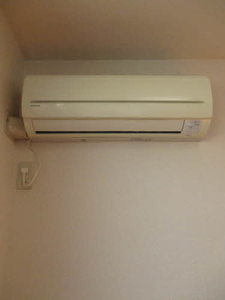 カモミール B201号-12