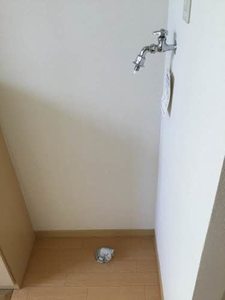 ＧＥＭＩＮＡＴＩＯＮ　ＳＳ B105号-4