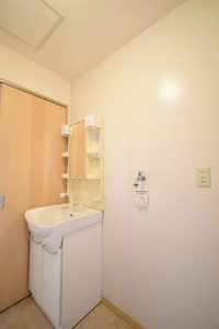 ルミエールＫ 0203号-8