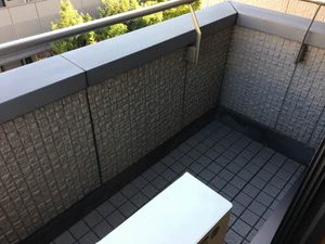 セラーノ神山 0301号-8