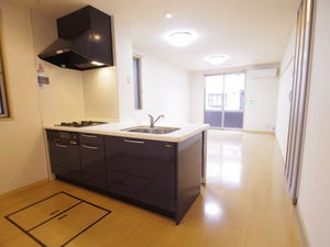 ルミエールサーノ 0102号-2