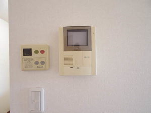 パークミズノ 0101号-13