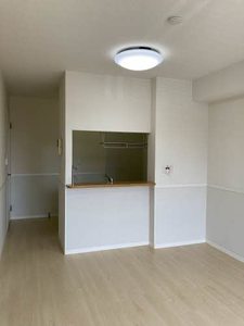 ゼファー新海 0102号-6