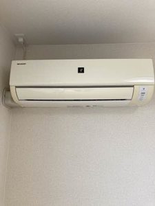 ゼファー新海 0102号-8