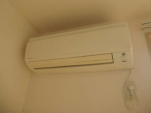 Ｋａｐｅｌｌ　Ⅲ 0202号-5