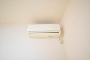 ルミエール D101号-11