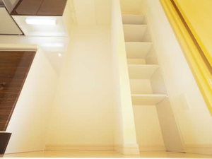 セレニティー勝川 0302号-11