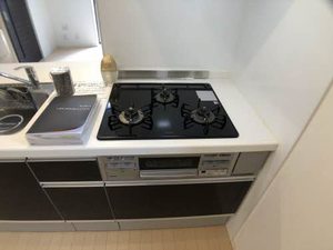セントポーリアF 0102号-4