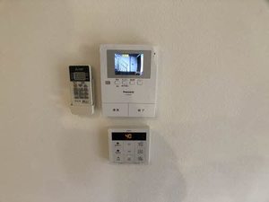 セントポーリアF 0102号-5