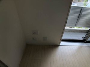 セントポーリアF 0102号-6