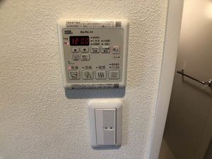 セントポーリアF 0102号-12