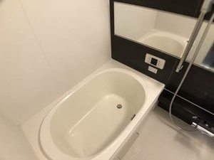 セントポーリアF 0102号-13