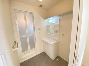 ドミトリー・アラコ 0101号-8