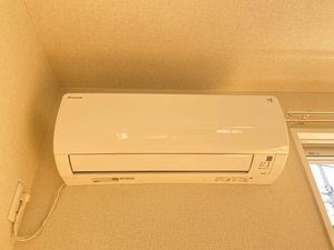 ドミトリー・アラコ 0101号-11
