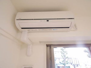 エクセレンス三蔵 0203号-8